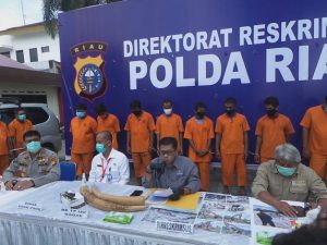 Polda Riau Ungkap Sindikat Perdagangan Organ Satwa Dilindungi