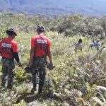 Semarak HUT RI, Satgas Pamtas TNI Yonmek 403/WP Ajak Masyarakat Lestarikan Lingkungan Tanam Pohon Pinus di Wilayah Perbatasan RI-PNG.*
