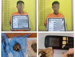 Komitmen Berantas Narkotika, Dua Pria Diciduk Polsek Tambusai Utara Dalam Kasus Kepemilikan Ganja