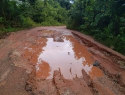 Masyarakat Kecamatan Kuala Behe Sangat Mengeluh Dengan Kondisi Jalan Yang Rusak Parah