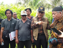 Mewujudkan Indonesia sebagai Lumbung Pangan Dunia: Langkah Strategis Menuju Swasembada Pangan