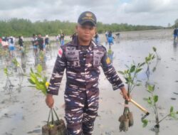 Lanal Bintan dan Siswa SMA Bersatu Tanam 10.000 Mangrove di Hari Menanam Pohon Sedunia
