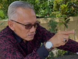 Maraknya Daging Beku Impor Ilegal di Kalbar, Dr. Herman Hofi: “Pasti Ada Permainan Oknum!”
