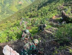 Satgas Yonif 715/Mtl Giatkan Program Ketahanan Pangan di Lereng Puncak Jaya
