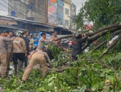 Brimob Metro Jaya Bergerak Cepat Atasi Pohon Tumbang di Ciputat