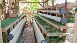 Gobo Baru Dorong Ketahanan Pangan Warga
