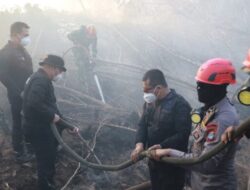 Kapolda Kalsel Terapkan Metode Pipa Suntik Padamkan Bara Karhutla