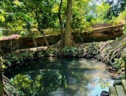 Sumber Mata Air Manggis Boyolali Berpotensi Jadi Destinasi Wisata Alam
