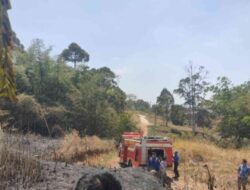Kebakaran Tiga Hektare Lahan Ilalang di Cimanggung Berhasil Dipadamkan