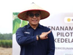PTPN IV PalmCo Uji Tanam Kedelai 1.000 Hektare untuk Tekan Impor