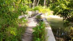 Bertahun-tahun Rusak, Warga Siparemo Desak Pemerintah Bangun Jembatan Kuala Luo
